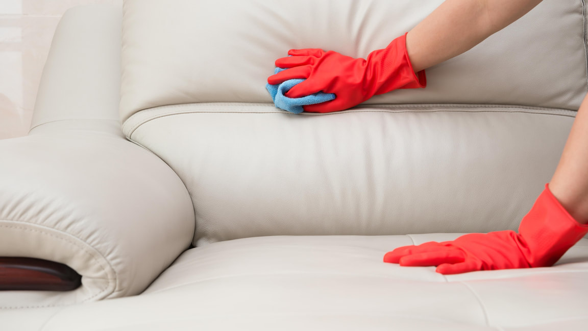 Photo of cleaning white leather sofa