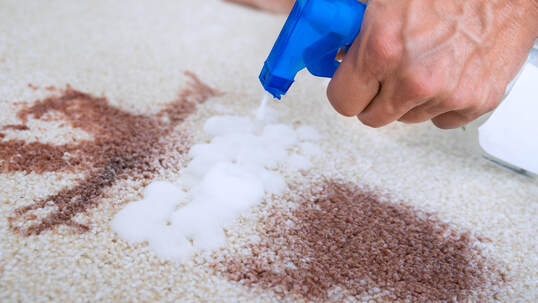 Photo of spray bottle spraying a wine stain on carpet  